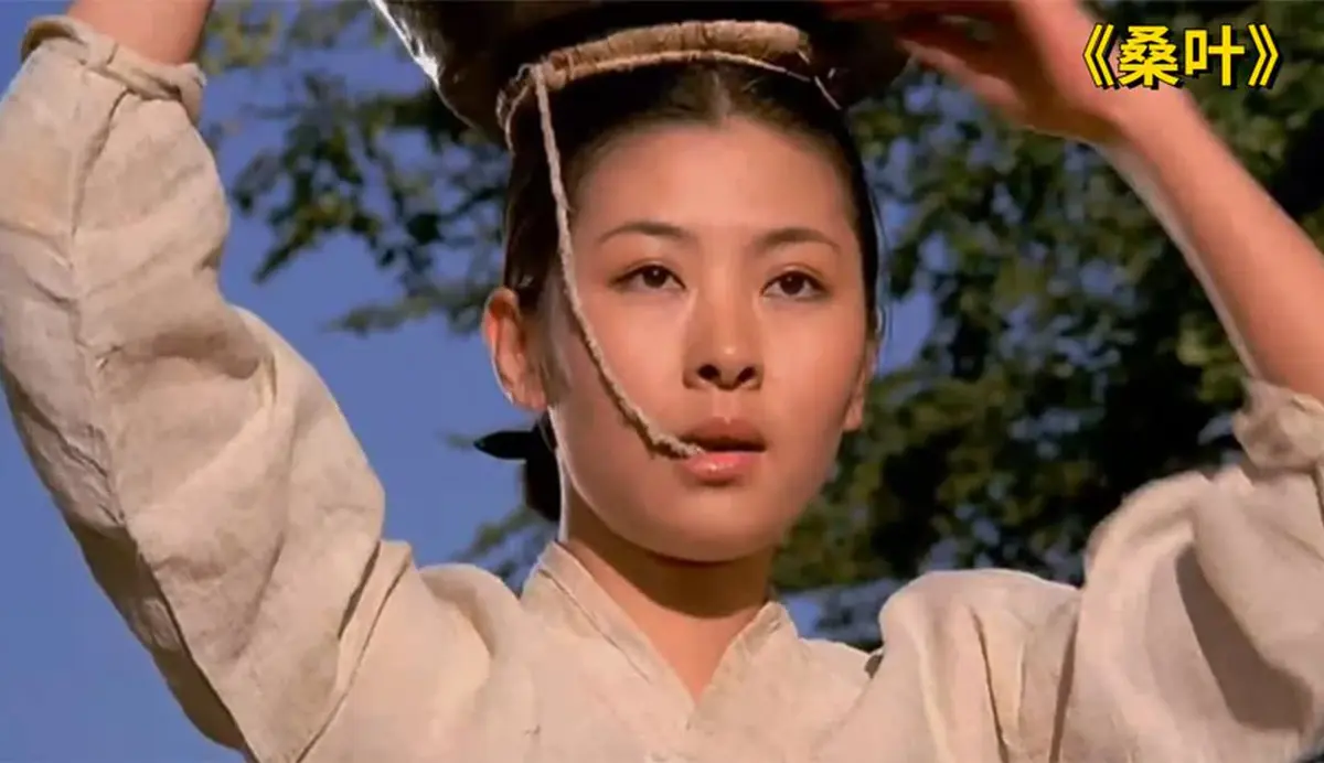 《桑叶》相关资源图片