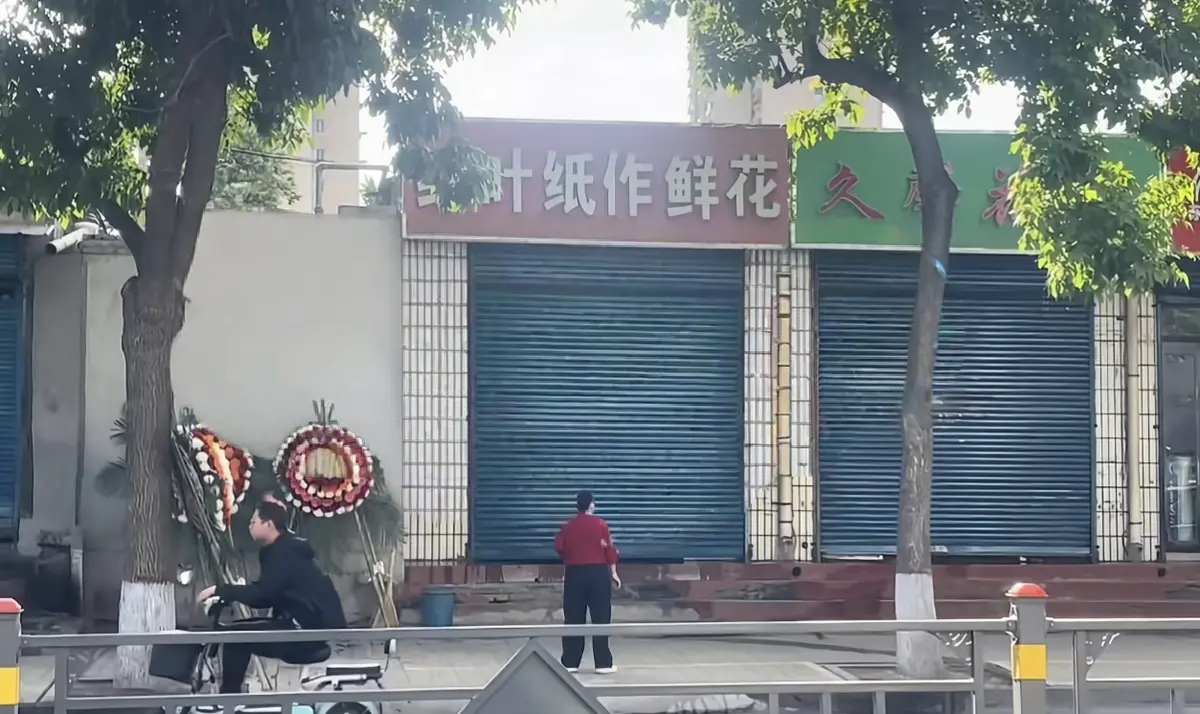 《原平纸作鲜花店门口视频》全集免费观看-原平纸作鲜花店门口视频HD高清在线播放-百度云/夸克网盘资源下载