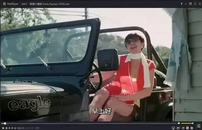 《美丽小蜜桃》相关资源图片